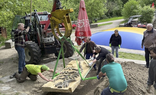 Hier &#8222;landet&#8220; gerade ein D...eben der Spielarena im Schwarzwaldzoo.  | Foto: Tim Haas, Rotary Club Elzach-Waldkirch