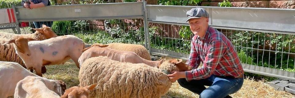 In March wurde gezeigt, wie aus Schafsfell Wolle gemacht wird