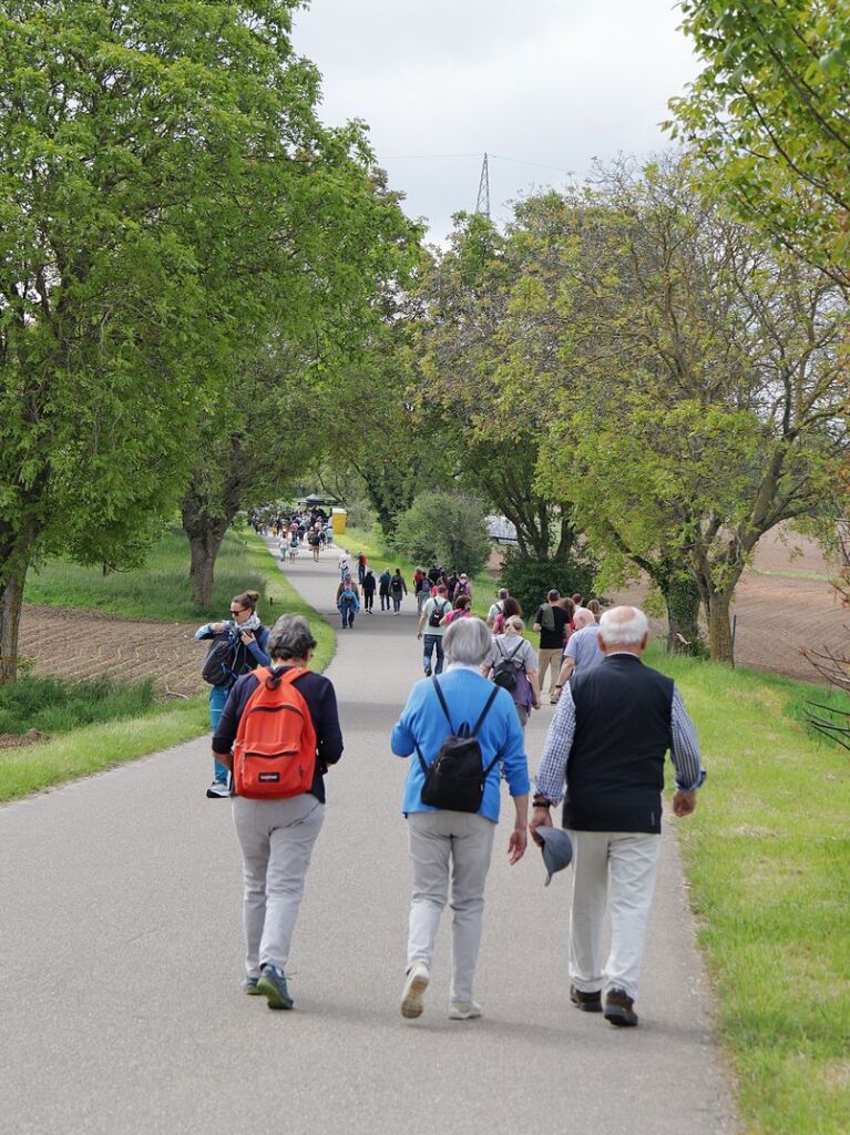 Auf Schusterst Rappen durch das Markgrfler Hgelland. Zwischendurch gab’s mehr als reichlich Gelegenheit zur Einkehr.