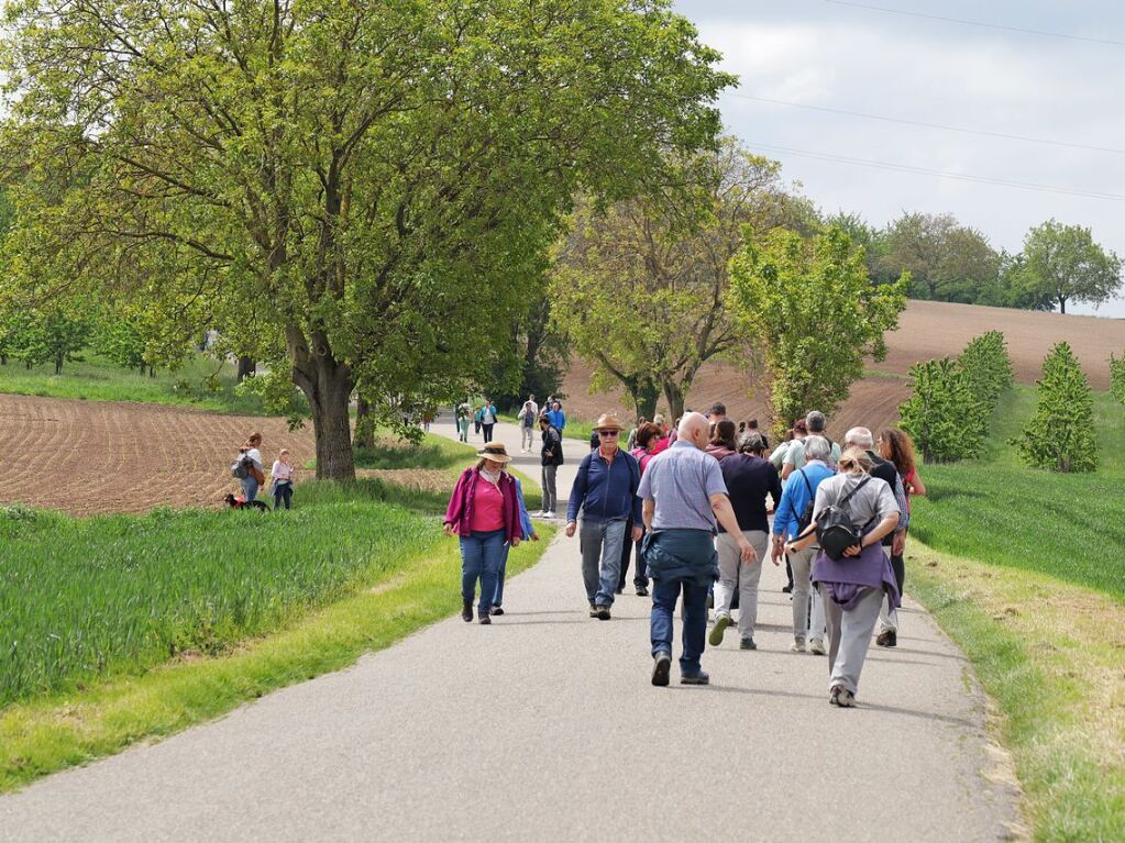 Auf Schusterst Rappen durch das Markgrfler Hgelland. Zwischendurch gab’s mehr als reichlich Gelegenheit zur Einkehr.