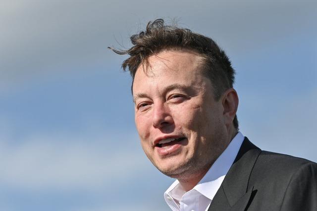 Probleme bei Gehirn-Implantant von Elon Musks Firma Neuralink
