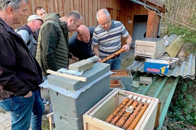 Wie man Bienen richtig betreut, lernen...ngerkurs beim Imkerverein Hauenstein.  | Foto:  Armin Goering