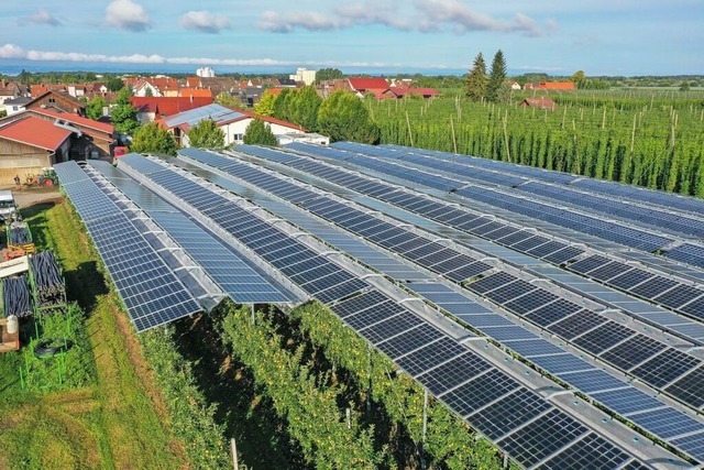 Eine Agri-Photovoltaik berspannt eine...tlichen Nutzung der Flche kombiniert.  | Foto: Felix Kstle (dpa)