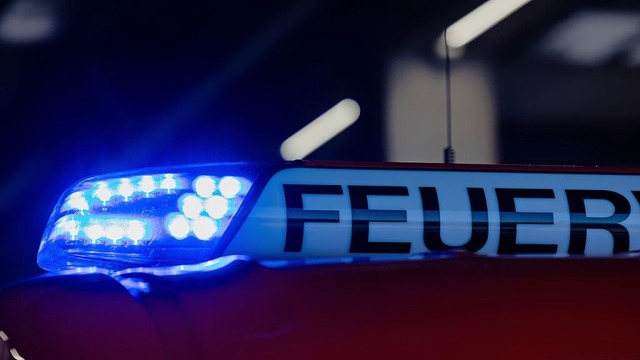 Ein Auto der Marke Ford geriet laut Po...markungsgrenze zu Schopfheim in Brand.  | Foto: Rolf Vennenbernd (dpa)
