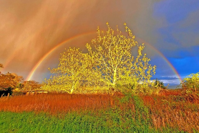 Regenbogen.  | Foto: Anni Munzinger