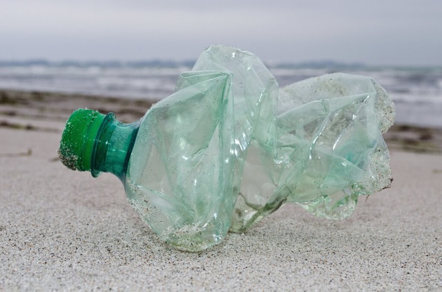 Eine Plastikflasche am Ostseestrand  | Foto: Stefan Sauer (dpa)