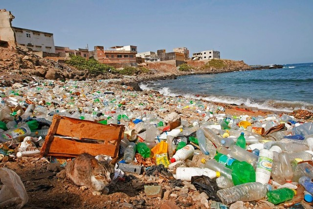 Mll an einem Strand in Dakar, Senegal  | Foto: Nic Bothma