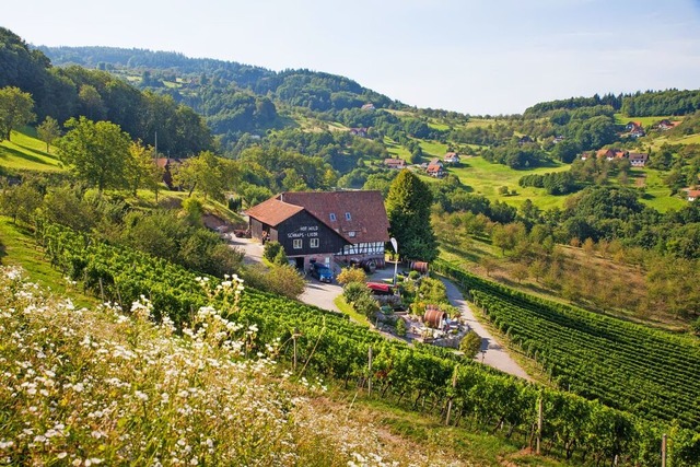 Entlang der Badischen Weinstrae gibt ...wie hier in Sasbachwalden im Weinfass.  | Foto: Schwarzwald Tourismus GmbH (STG)