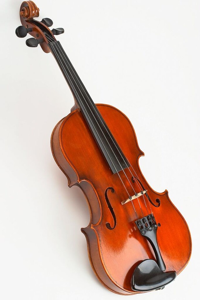 Geige.  | Foto: fotolia.com/awfoto