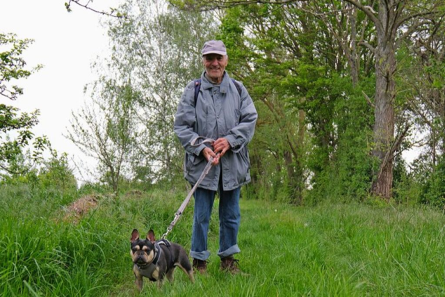 82-jhriger Feldkircher geht jeden Tag mit einem Hund aus dem Tierheim spazieren - seit Jahrzehnten