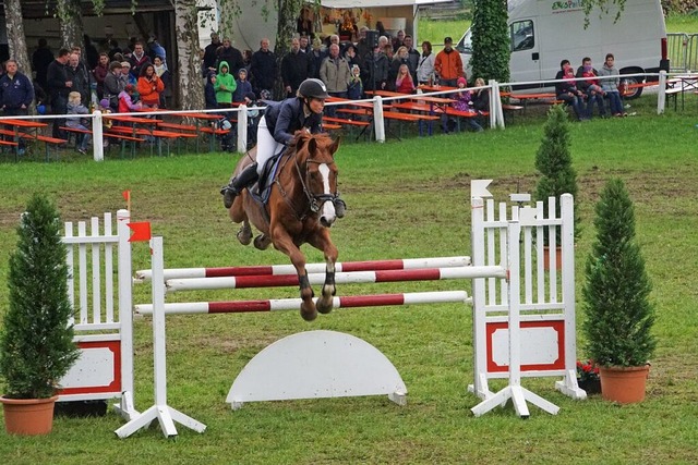 bers Pfingstwochenende steht Weisweil wieder ganz im Zeichen des Reitsports.  | Foto: Ilona Huege