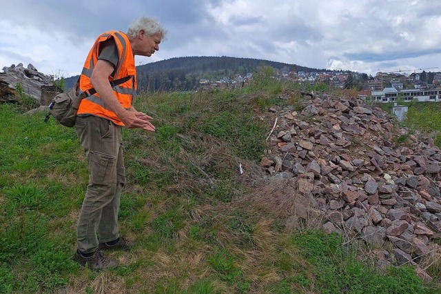 Gerrit Mller auf einer der Ausgleichs... fr die Kreuzotter geschaffen wurden.  | Foto: Verena Pichler