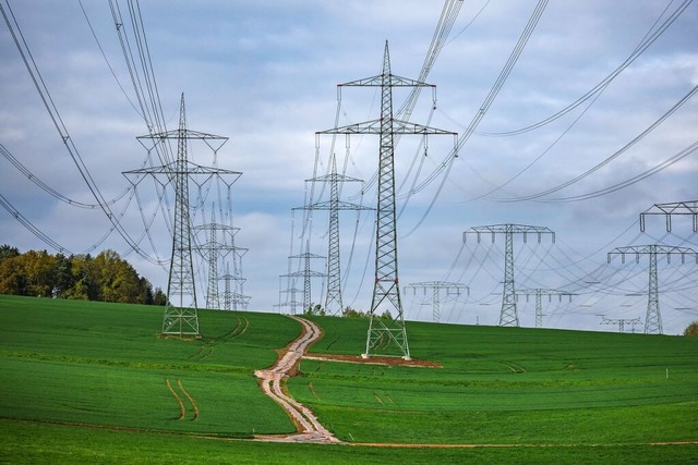 Um die Art und Weise wie Strom transportiert werden soll, gibt es Streit.  | Foto: Jan Woitas (dpa)