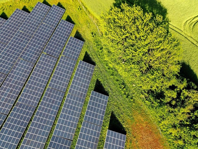 Flchen fr Photovoltaikanlagen sollen ausgewiesen werden.  | Foto: stock.adobe.com