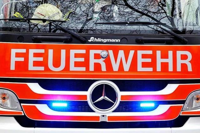 Mllunterstand in Freiburg-Hochdorf nach Brand am Wochenende zerstrt
