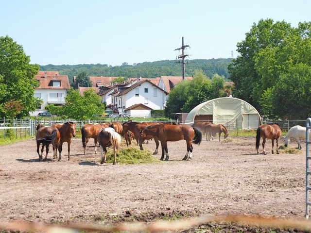 Der Reiterhof der Familie Ludscher so...ich der Bahngleise ausgelagert werden.  | Foto: Herbert Frey