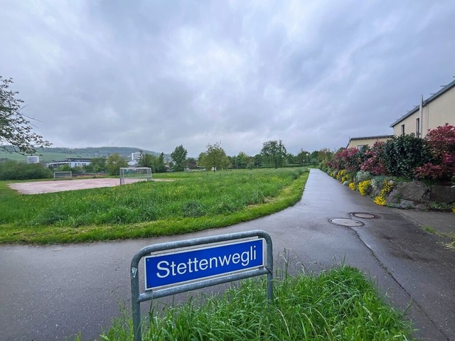 Auf einer Wiese im Sden des Lrracher...haftsunterkunft fr Geflchtete bauen.  | Foto: Jonas Gnther