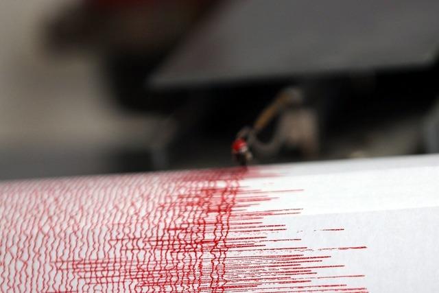 Simulation soll Auswirkungen eines schweren Erdbebens in Baden-Wrttemberg zeigen