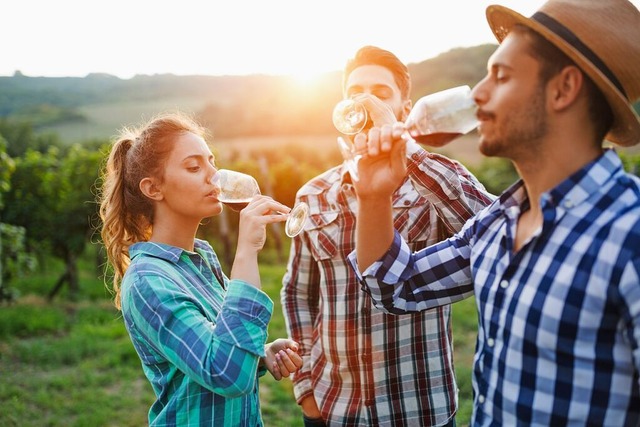 Weingter und Winzerhfe bieten oft We...gibt es dazu auch ein deftiges Vesper.  | Foto: NDABCREATIVITY (stock.adobe.de)