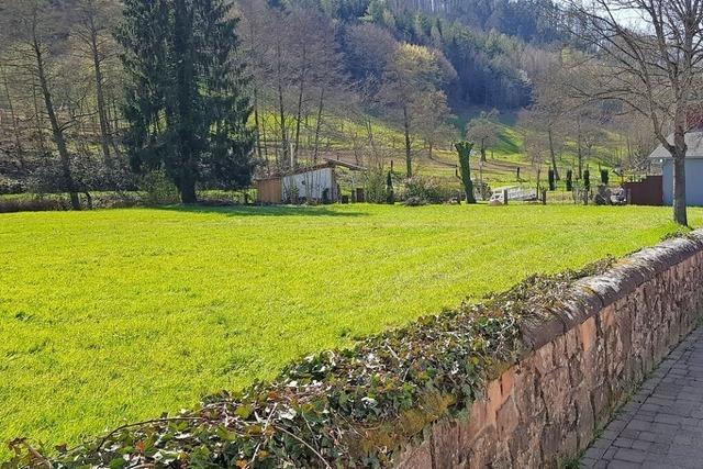 Stadt Ettenheim will bald auf der Badwiese bauen