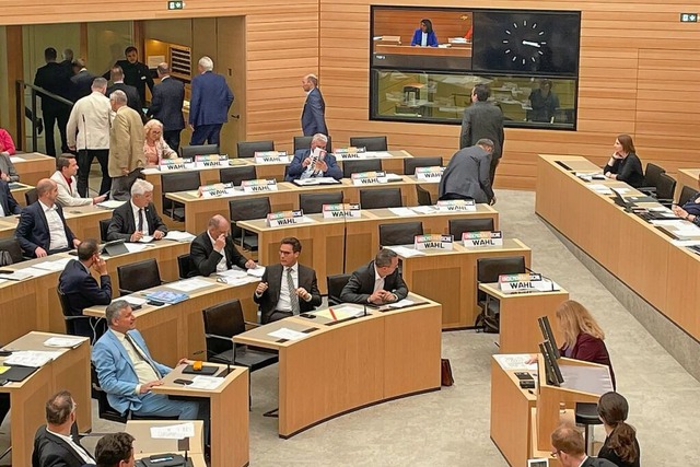 Die AfD-Abgeordneten verlassen aus Protest den Saal.  | Foto: David Nau (dpa)