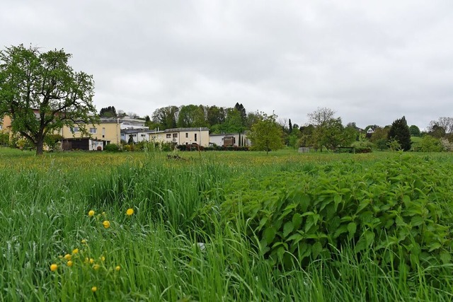 Die Flche fr die geplante Gemeinschaftsunterkunft in Lrrach-Stetten  | Foto: Jonas Gnther