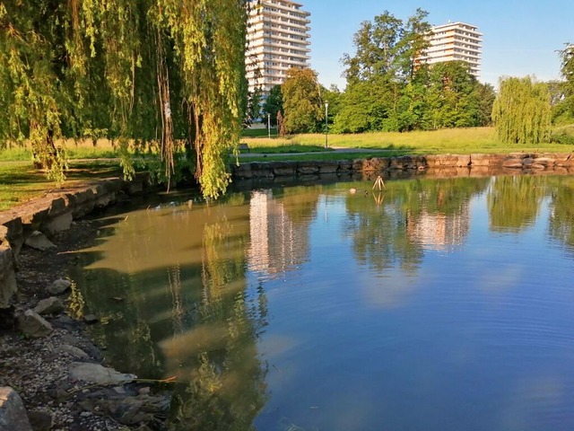 Der sogenannte Ententeich im Kleinfeldpark  | Foto: Stadt Lahr