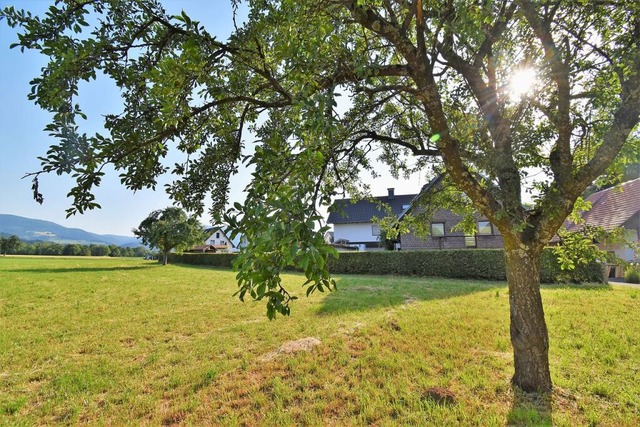 Im Neubaugebiet Nadelhof sollen Obstbume gepflanzt werden.  | Foto: Kathrin Blum