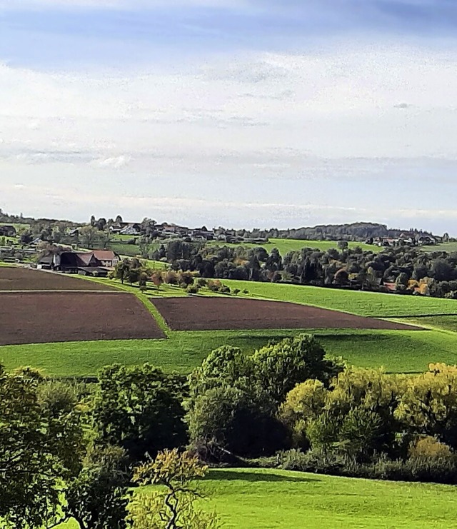 Die Rolle der Bauern als Landschaftspfleger zeigt dieses Bild aus Freiamt.  | Foto: Renate Gtermann