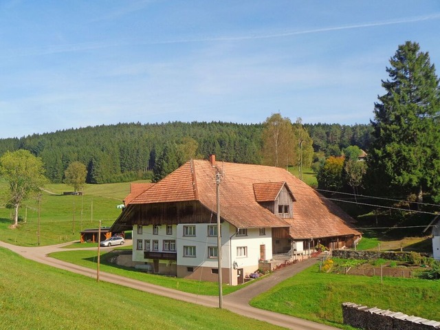 Der Brilhof (Brhlhof) in Biederbach-M...und Claus Ringwald (Vogt 1482) hervor.  | Foto: Dieter Wrner