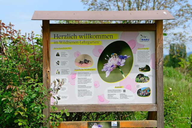 Der Wildbienen-Lehrgarten in Opfingen: Brummen in Baumruinen