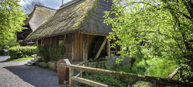 Im Freilichtmuseum Vogtsbauernhof gibt es fnf historische Mhlen.  | Foto: Hans-Jrg Haas