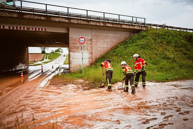 Die Feuerwehrleute aus Schallstadt und Mengen im Einsatz  | Foto: Andreas Berger