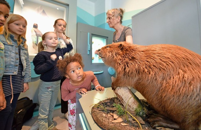 Forschung im Museum Mensch und Natur  | Foto: Rita Eggstein