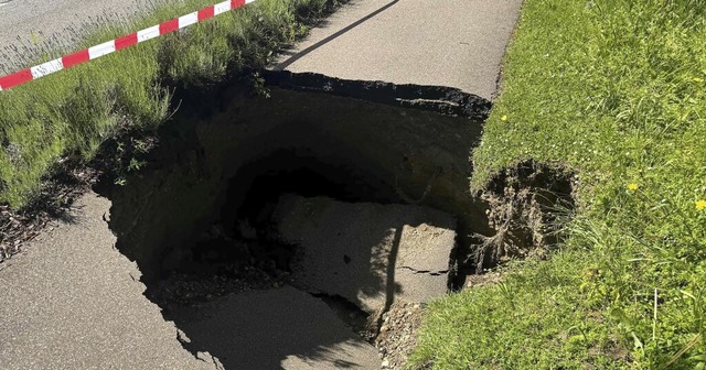   | Foto: Feuerwehr Mahlberg