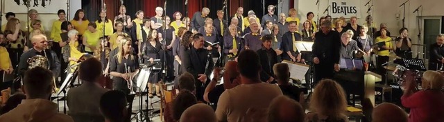 Der Chor Voices of Endingen begeisterte mit Melodien der Beatles und ihrer Zeit.  | Foto: Voices of Endingen