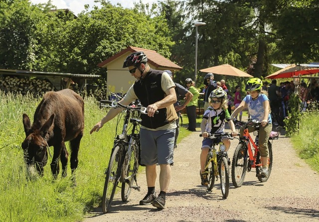 Den Esel streicheln: Fr Fahrradfahrer...rt dies zu den Highligts am Mhlentag.  | Foto: Sandra Decoux