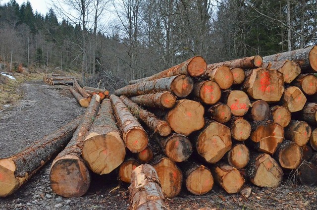 Eine groe Menge Holz wurde im Ibacher Forst 2023 geschlagen.  | Foto: Sebastian Barthmes