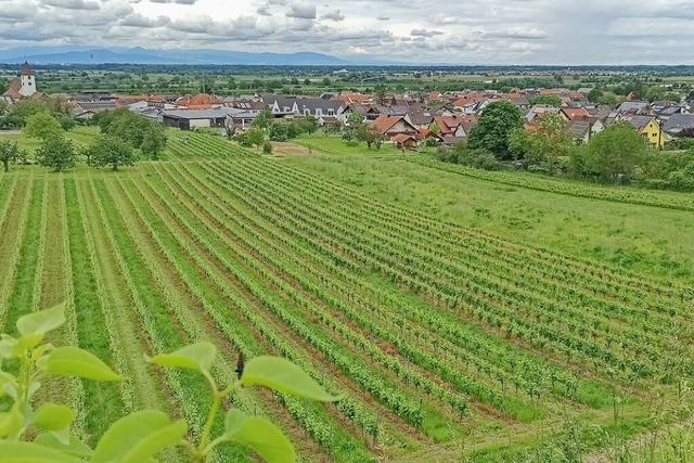Neues Baugebiet in Knigschaffhausen soll Bauland fr junge Familien bieten