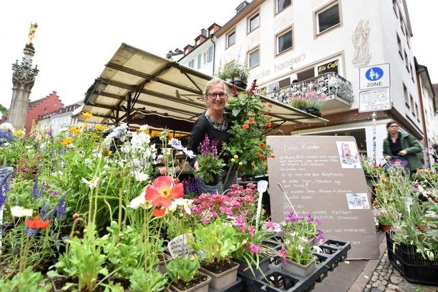Bauarbeiten am Lazzarin auf dem Mnsterplatz starten  – Blumen-Kost muss vorerst weichen