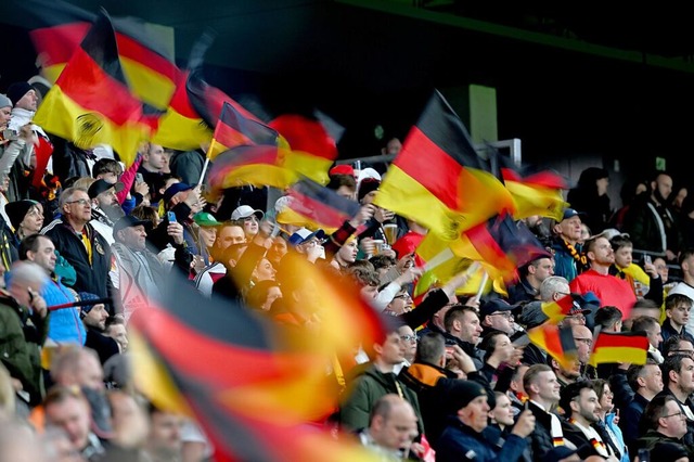 Fans feuern die deutsche Fuballnationalmannschaft der Mnner an. (Archivbild).  | Foto: Arne Dedert (dpa)