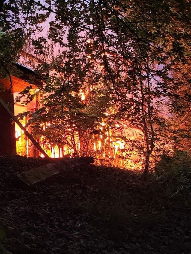 Die Feuerwehr verhindert ein bergreifen des Feuers auf den Wald.  | Foto: Feuerwehr Lrrach