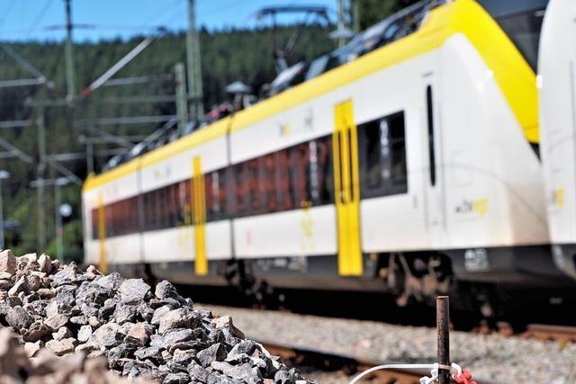 Dreiseenbahn zwischen Titisee und Seebrugg fllt bis Ende Juni aus