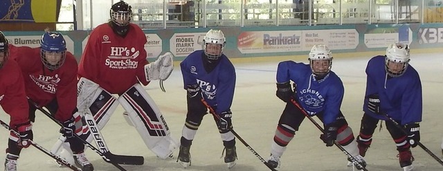 Der EHC Herrischried bekommt 1200 Euro fr eine Kabinenheizung.  | Foto: Wolfgang Adam