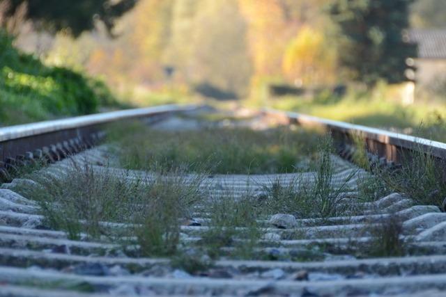 Reaktivierung der Kandertalbahn wre wohl doch wirtschaftlich