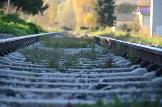 Schienen bei Rmmingen: In Sachen Reak...andertalbahn gibt es gute Nachrichten.  | Foto: Moritz Lehmann