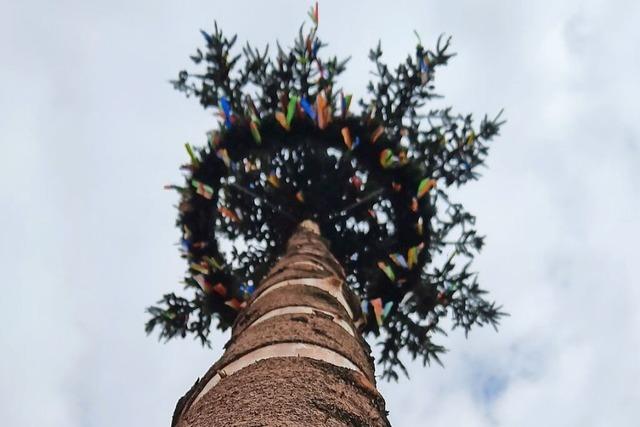 Der Maibaum, die Versicherung, die Brokratie: rgerlich ist es fr alle