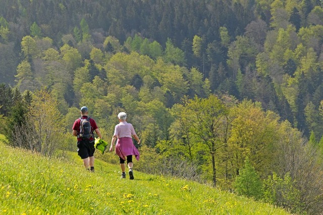 Bollschweil erwartet Wanderer mit viel Grn und herrlichen Aussichten.  | Foto: Hubert Gemmert