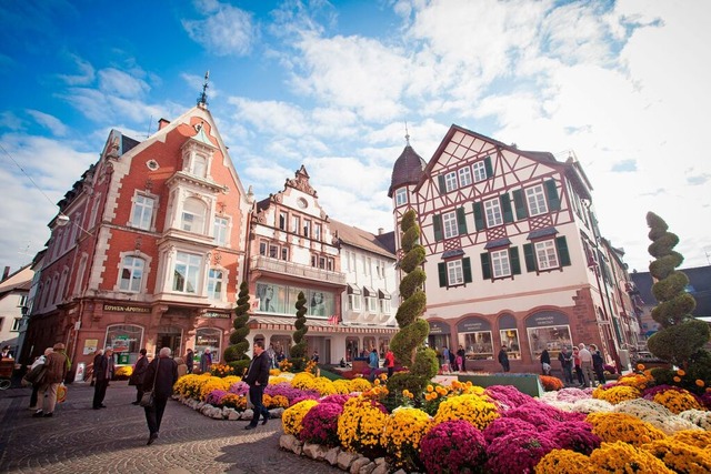 In diesem Jahr findet die 25. Chrysanthemenschau statt.  | Foto: Stadt Lahr