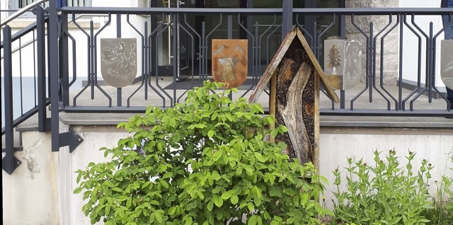 Direkt vor dem Rickenbacher Rathaus st... Bepflanzung und ein Wildbienen-Hotel.  | Foto: Naturpark Sdschwarzwald